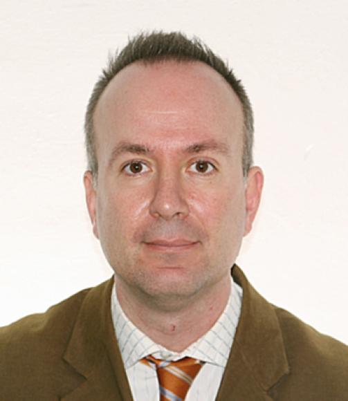 Pablo Gimeno Bellver.</strong> Ingeniero Industrial. Socio-Director de Ingenieros Asociados en Consultor�a. Miembro del Claustro de profesores de la Escuela de Negocios Luis Vives