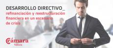 Conferencia: Refinanciaci�n y reestructuraci�n financiera en un escenario de crisis