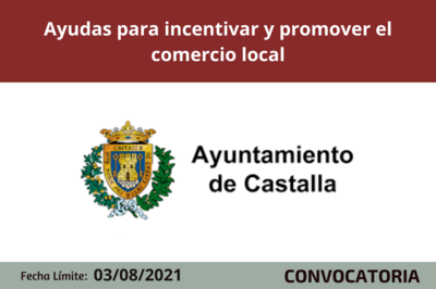 Bases de la convocatoria