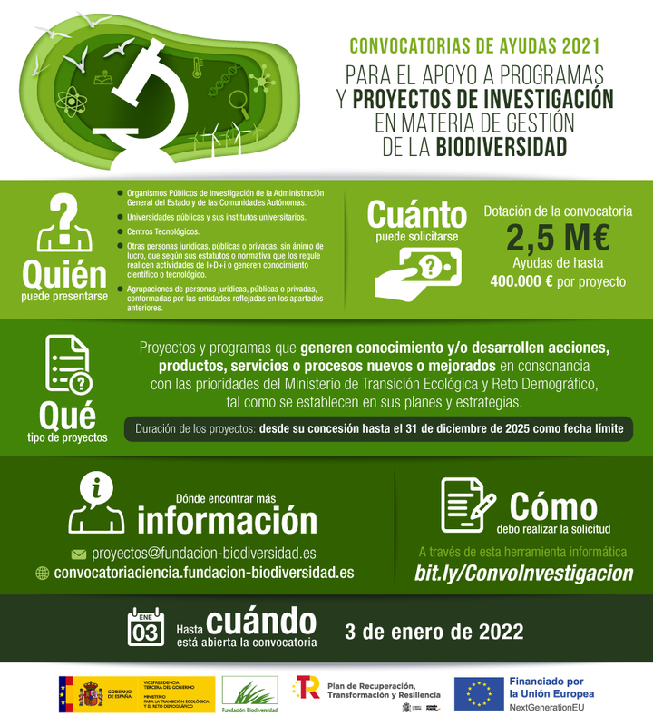 Ampliar imagen
