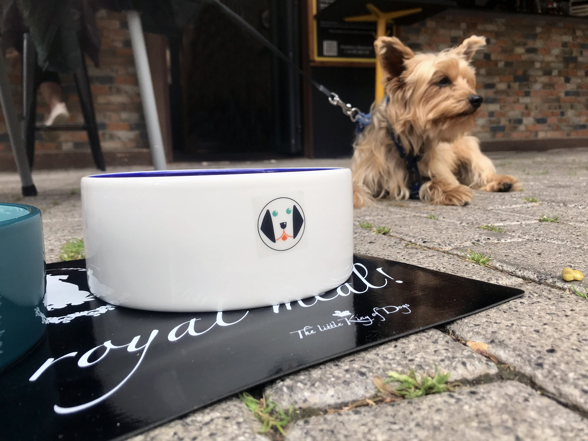 DoggieSnax | De Tapas con Mi Perro