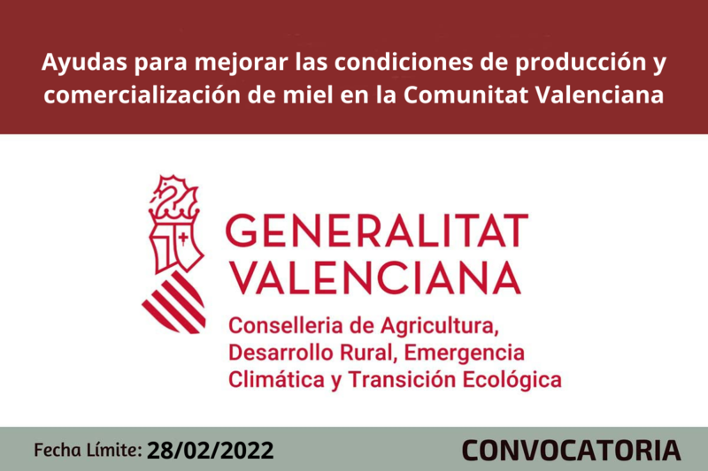 Ampliar imagen