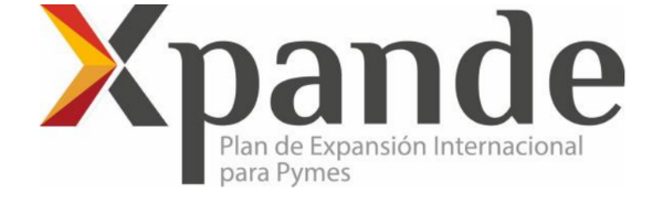 Convocatoria Xpande para la prestación de servicios de apoyo a la expansión internacional de las pymes 2022