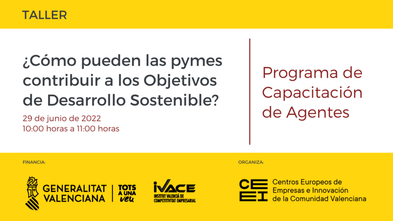 Taller ODS pymes