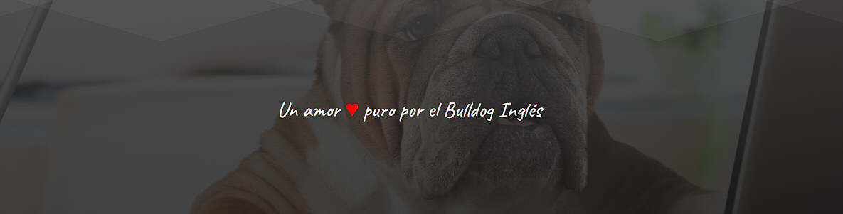 BulldogTribe