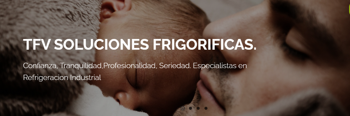 TFV SOLUCIONES FRIGORIFICAS SL