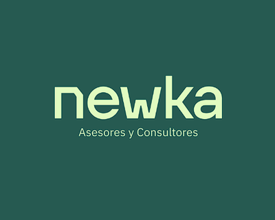 NEWKA ASESORES Y CONSULTORES SL