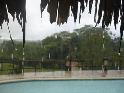 Despu�s de la tormenta