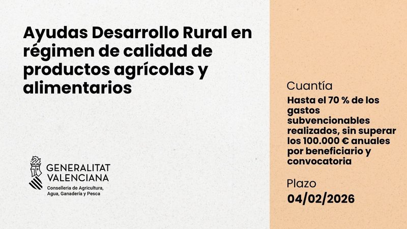 Ampliar imagen