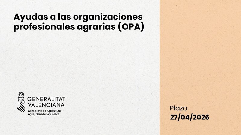 Ampliar imagen