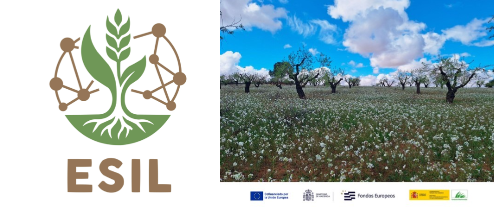 ESIL, convirtiendo la sostenibilidad en una oportunidad económica 