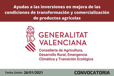 Ayudas a la inversión en mejoras de las condiciones de transformación y comercialización productos agrícolas