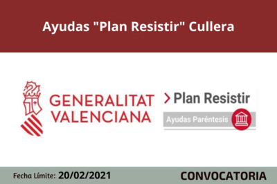 Bases de la convocatoria