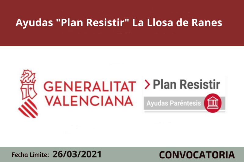Ampliar imagen