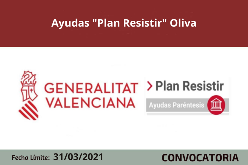 Ampliar imagen