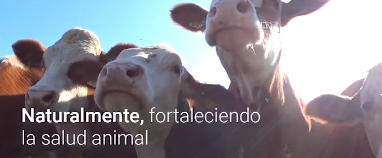Dadelos Agricola, S.L.