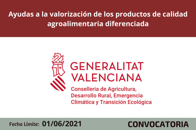 Ampliar imagen