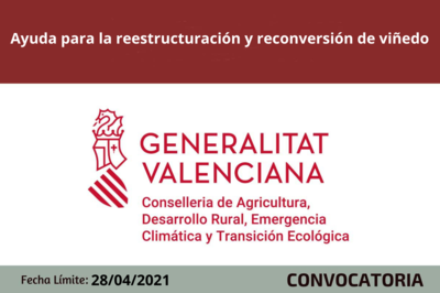 Bases de la convocatoria