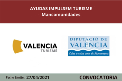 Bases de la Convocatoria