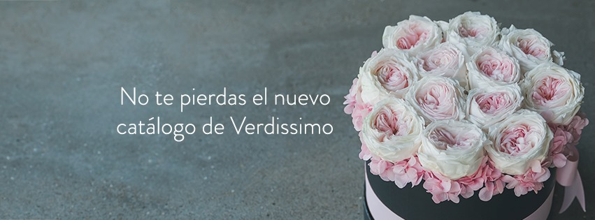 Verdissimo Forever Young S.A.